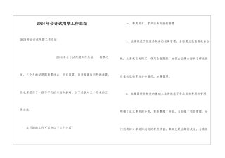 2024年会计试用期工作总结