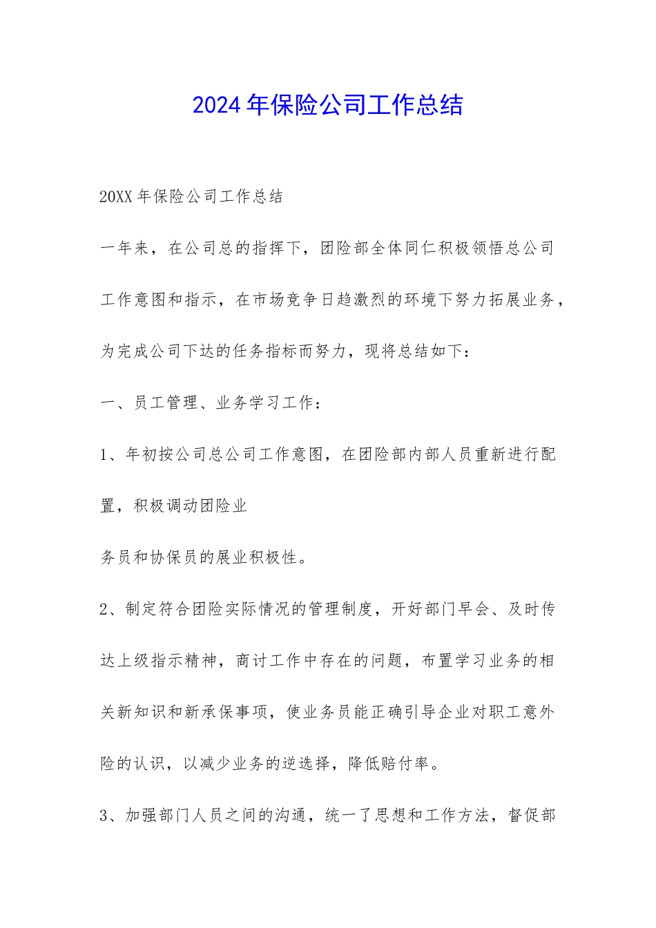 2024年保险公司工作总结-_第1页