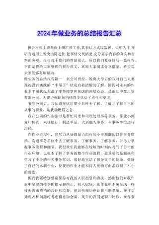2024年做业务的总结报告汇总