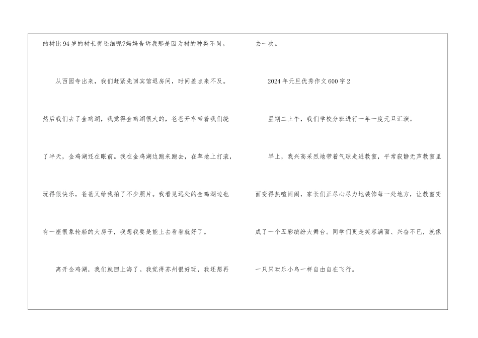 2024年元旦优秀作文600字5篇_第3页