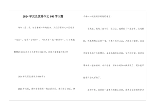 2024年元旦优秀作文600字5篇