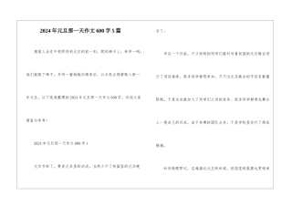2024年元旦那一天作文600字5篇