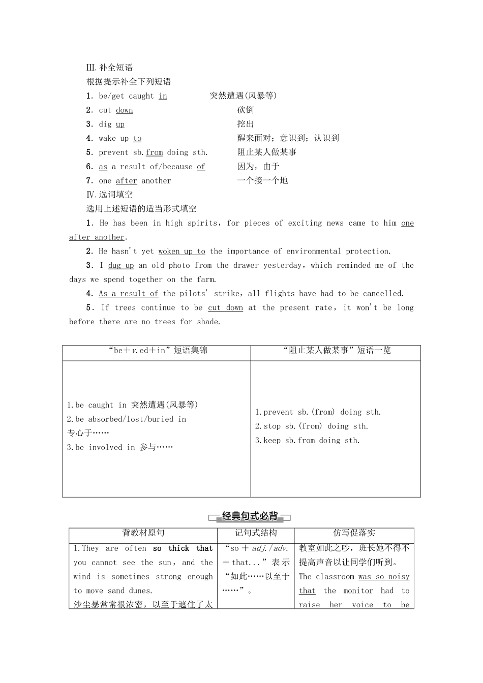 高中英语 Module 4 Sandstorms in Asia Section Ⅱ Learning about Language教案（含解析）外研版必修3-外研版高一必修3英语教案_第2页