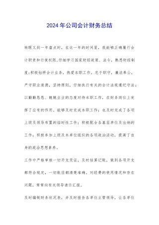 2024年公司会计财务总结-