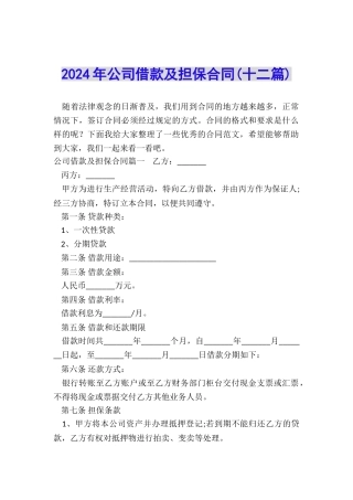 2024年公司借款及担保合同