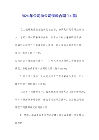 2024年公司向公司借款合同