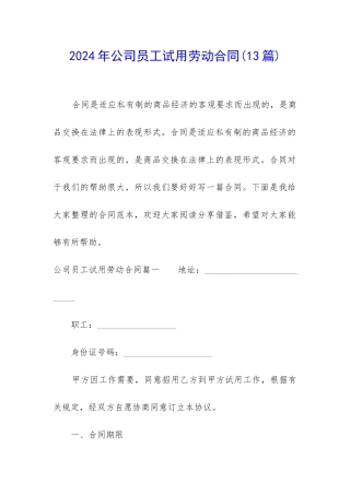 2024年公司员工试用劳动合同