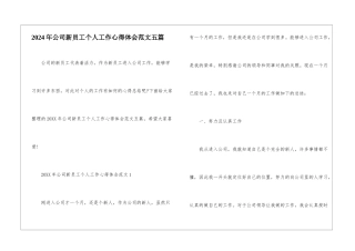 2024年公司新员工个人工作心得体会范文五篇