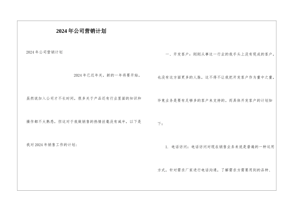 2024年公司营销计划_第1页