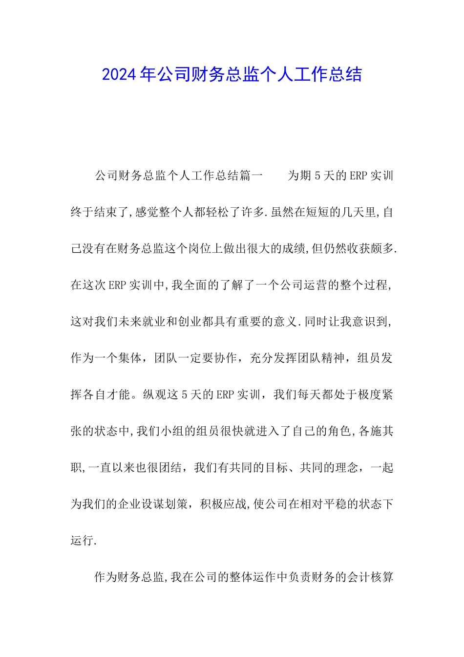 2024年公司财务总监个人工作总结_第1页