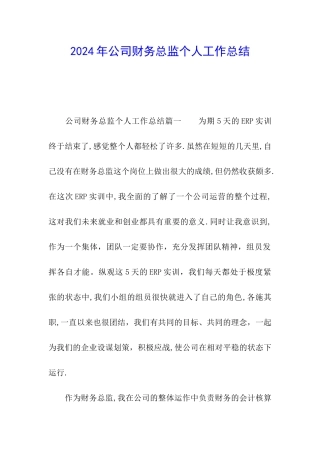 2024年公司财务总监个人工作总结