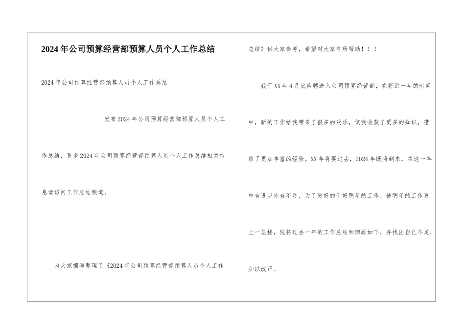 2024年公司预算经营部预算人员个人工作总结_第1页