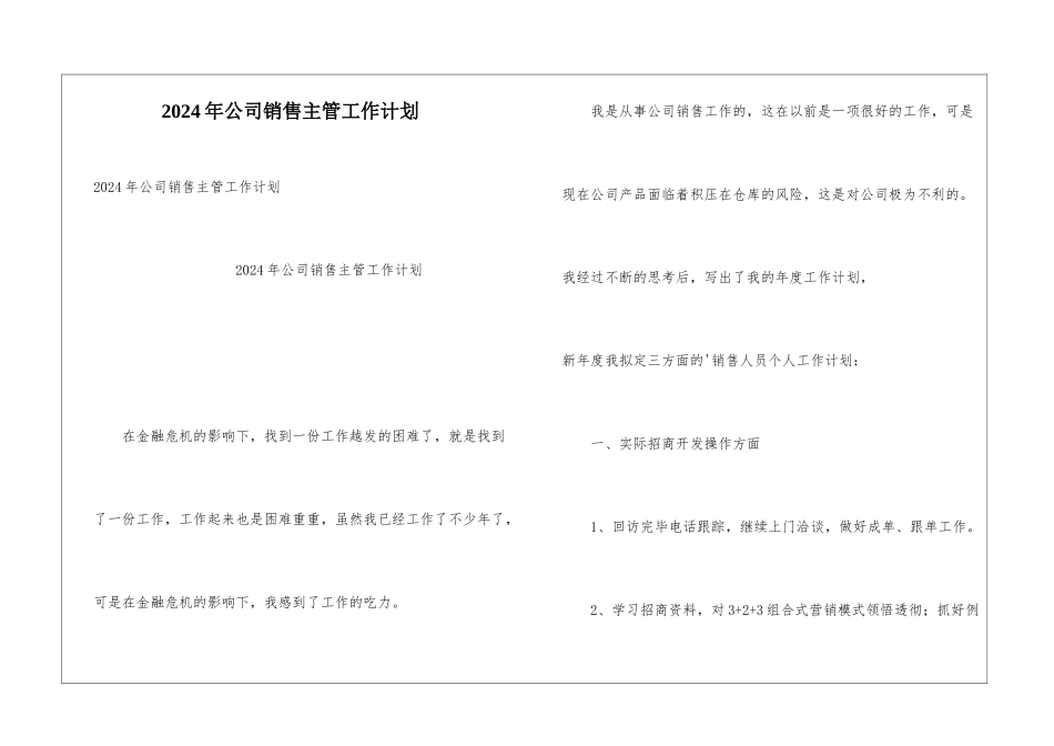 2024年公司销售主管工作计划_第1页