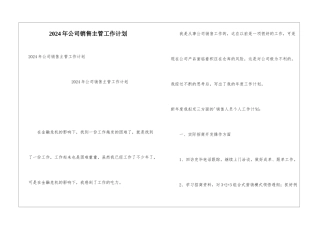 2024年公司销售主管工作计划