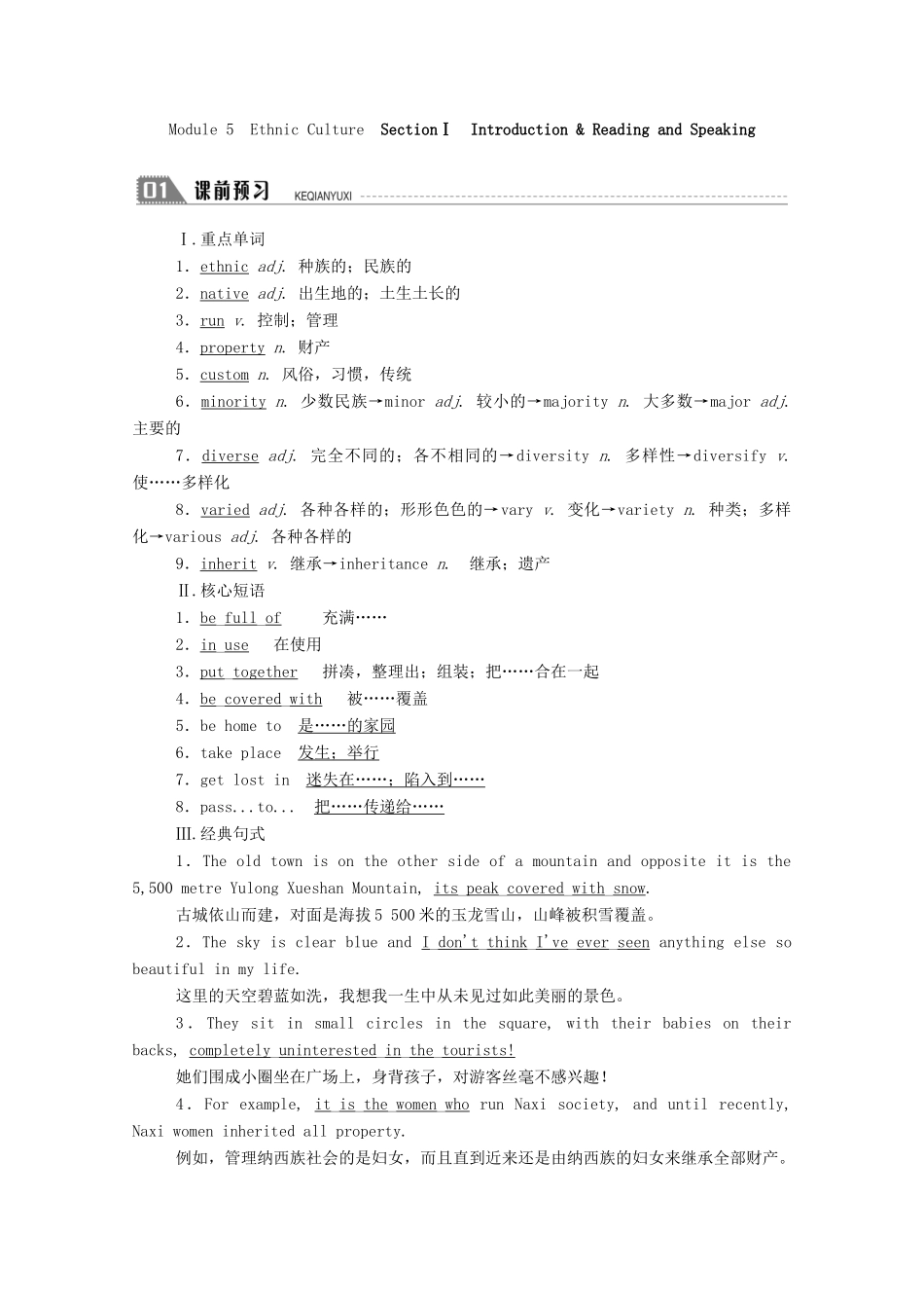 高中英语 Module 5 Ethnic Culture SectionⅠ Introduction Reading and Speaking学案（含解析）外研版选修7-外研版高二选修7英语学案_第2页