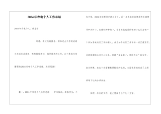 2024年农电个人工作总结