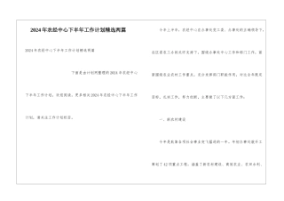2024年农经中心下半年工作计划精选两篇