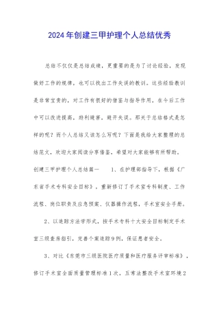 2024年创建三甲护理个人总结优秀