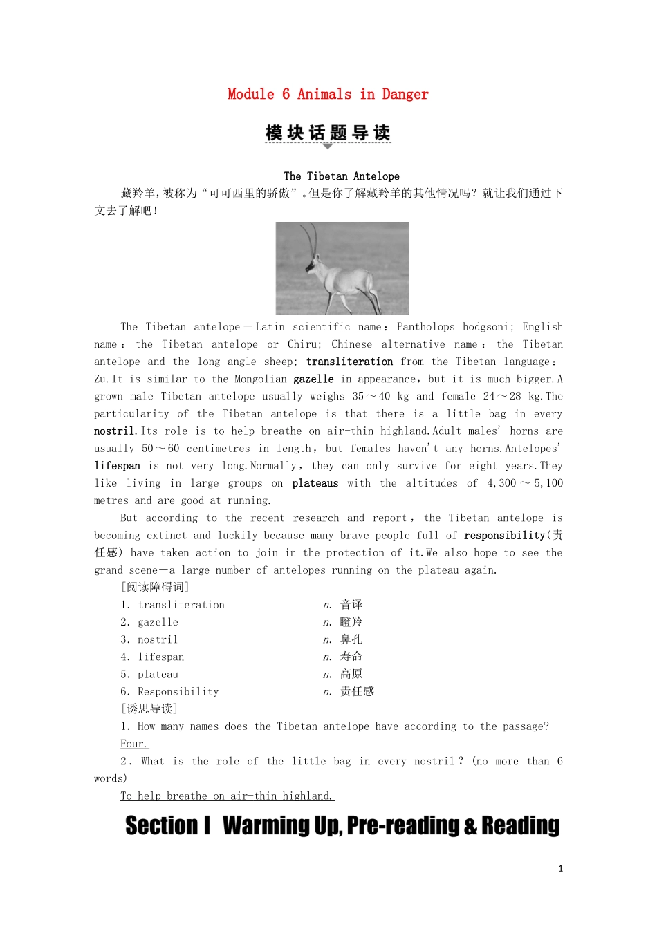 高中英语 Module 6 Animals in Danger Section Ⅰ Warming UpPre-reading  Reading学案 外研版必修5-外研版高二必修5英语学案_第1页