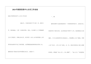 2024年医院信息中心主任工作总结