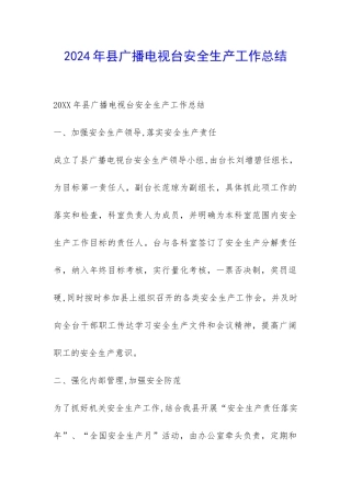 2024年县广播电视台安全生产工作总结-