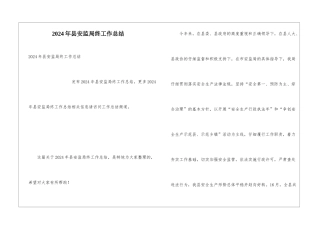 2024年县安监局终工作总结
