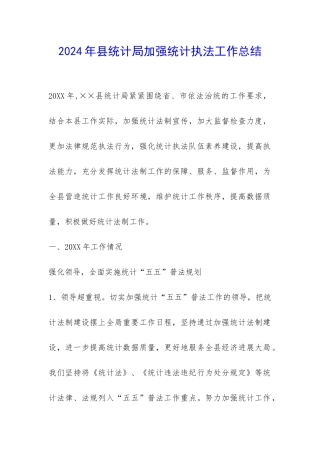 2024年县统计局加强统计执法工作总结-