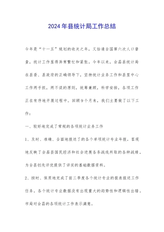 2024年县统计局工作总结-