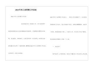 2024年员工试用期工作总结