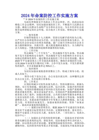 2024年命案防控工作实施方案-