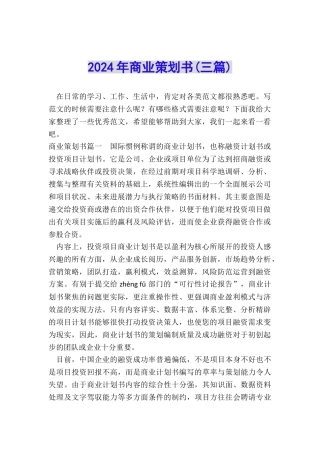 2024年商业策划书