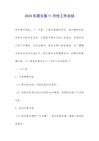 2024年团支部11月份工作总结-