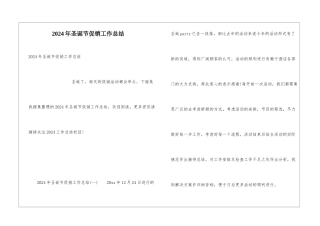 2024年圣诞节促销工作总结