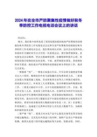 2024年在全市严防聚集性疫情做好秋冬季防控工作电视电话会议上的讲话