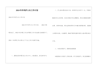 2024年外科护士长工作计划