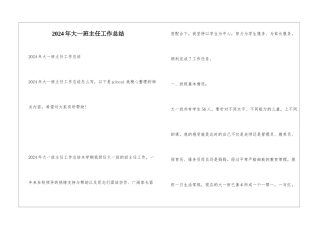2024年大一班主任工作总结
