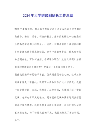 2024年大学班级副班长工作总结-