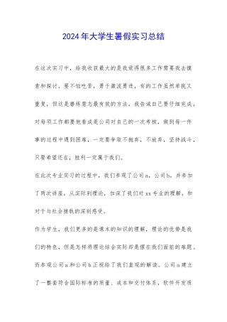 2024年大学生暑假实习总结-