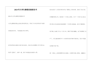 2024年大学生暑假实践报告书