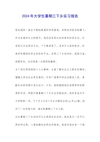 2024年大学生暑期三下乡实习报告-