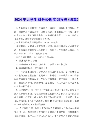 2024年大学生财务经理实训报告