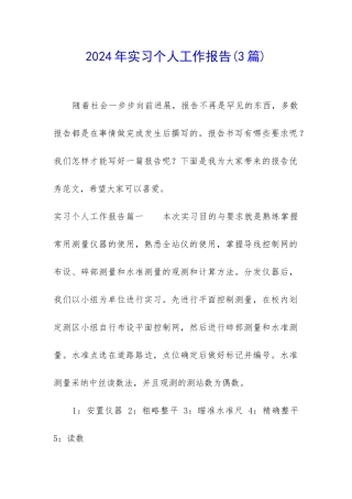 2024年实习个人工作报告