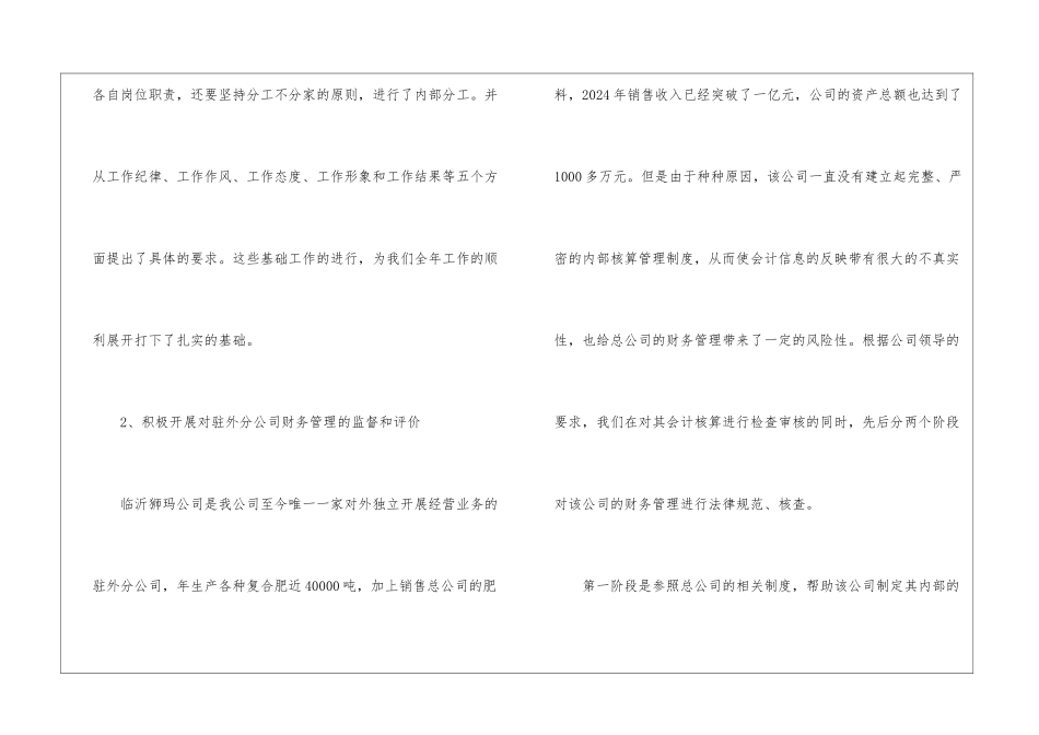 2024年审计总经理述职报告_第3页