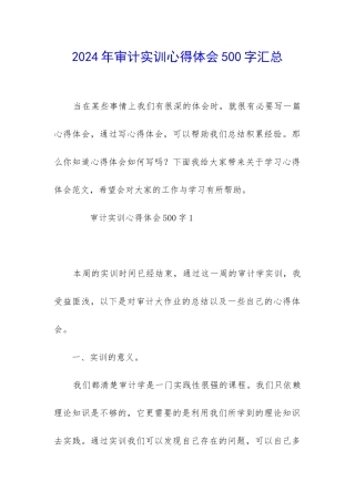 2024年审计实训心得体会500字汇总