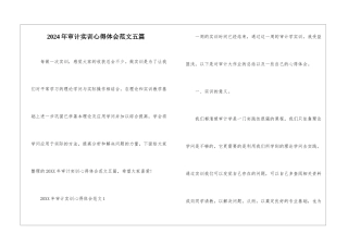 2024年审计实训心得体会范文五篇