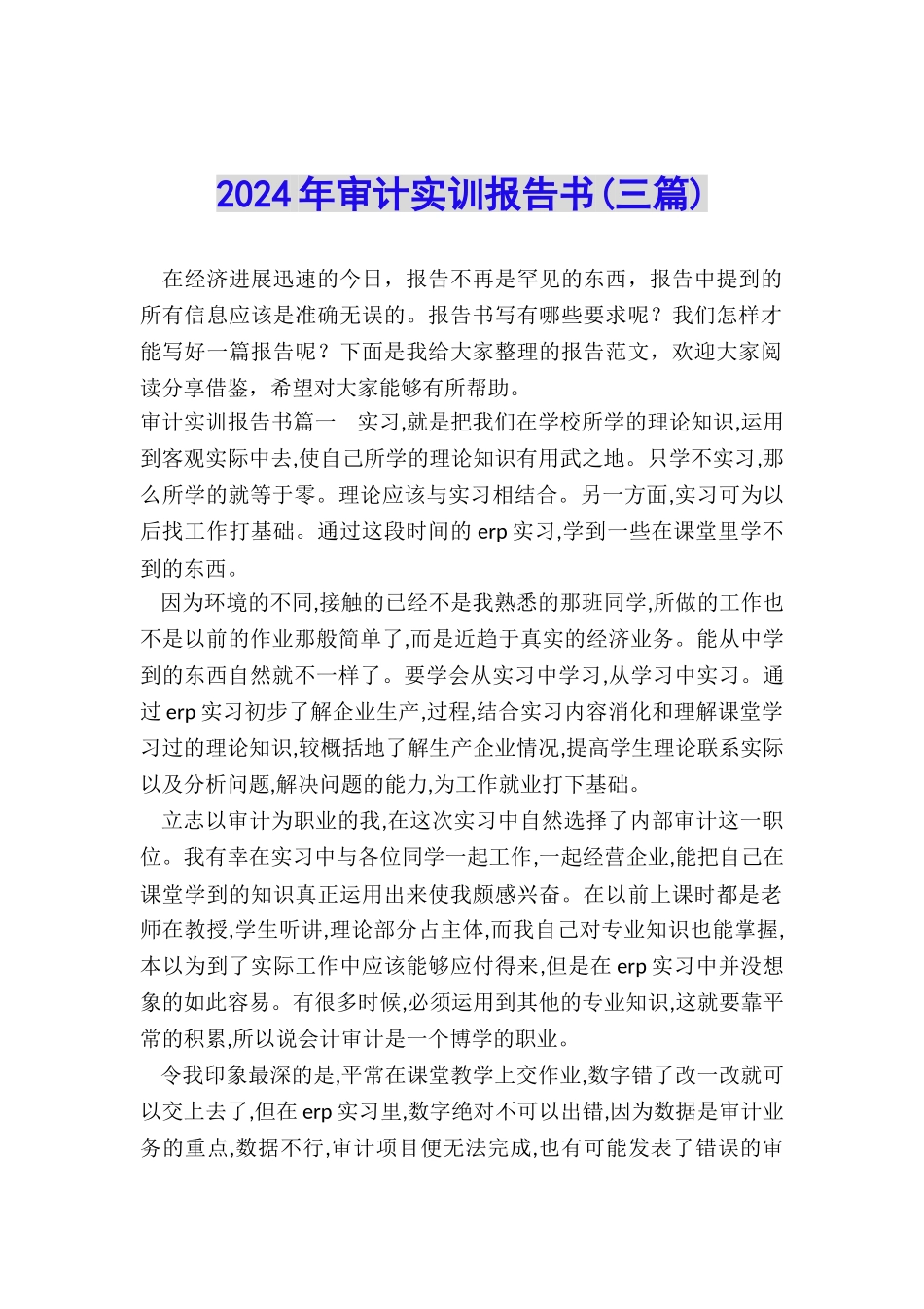 2024年审计实训报告书_第1页