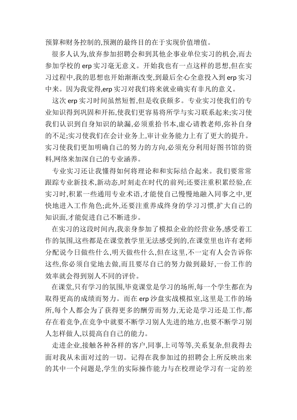 2024年审计实训报告书_第3页