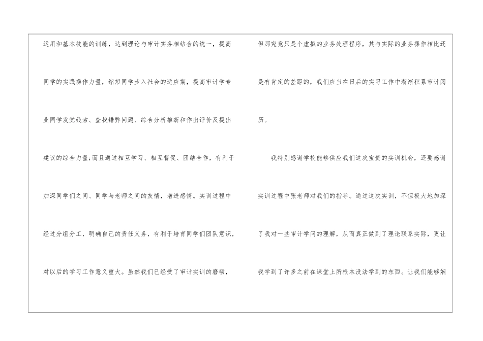2024年审计实训的心得体会范文五篇_第3页