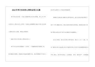 2024年审计实训的心得体会范文五篇