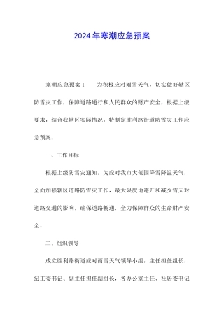 2024年寒潮应急预案